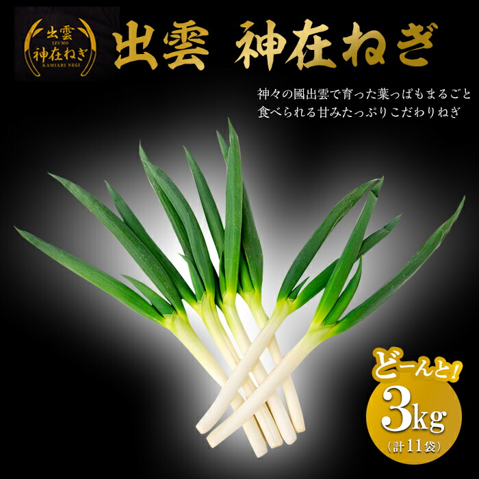 出雲 神在 かみあり ねぎ 約3kg 11袋 葱 野菜 やさい 冷蔵 人気 お