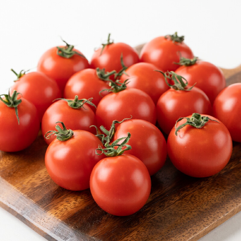 【ふるさと納税】希トマトジュース5本|食塩無添加無塩tomato野菜セット飲料瓶お取り寄せ人気おすすめ島根県出雲市