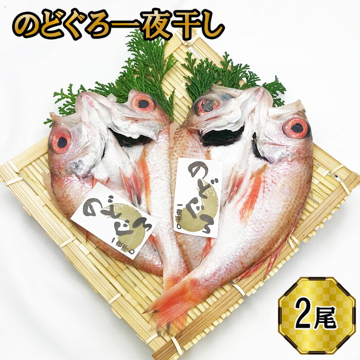 【ふるさと納税】 楽天限定 のどぐろ 一夜干し 2尾セット ギフト お中元 お歳暮 父の日 母の日 包装 のし 対応可 お取り寄せグルメ