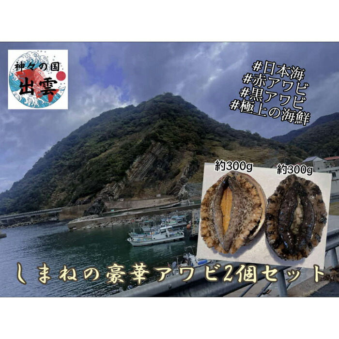 361080]連続テレビ小説 まんぷく 完全版(13枚セット)第1週〜第26週