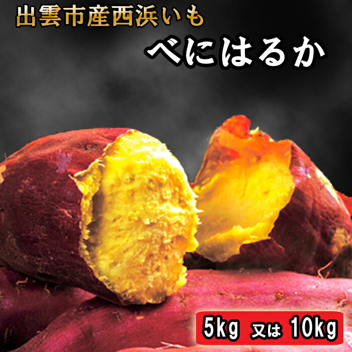 【ふるさと納税】西浜いも（べにはるか）5kg 10kg  べにはるか さつまいも さつま芋 芋 いも 島根県 出雲市