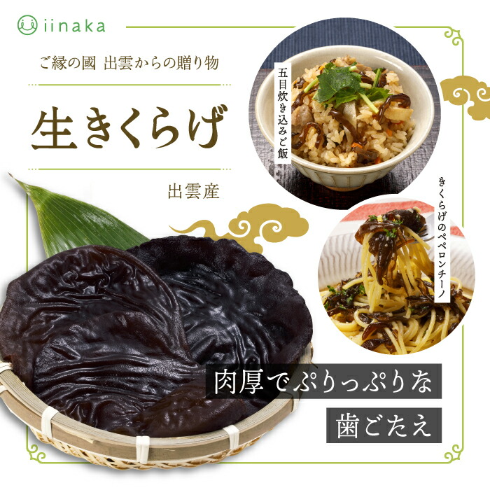 【ふるさと納税】出雲市産生きくらげ | きくらげ 出雲市産 生きくらげ 肉厚 ぷりぷり 中華 天ぷら 炒め物 島根県 出雲市