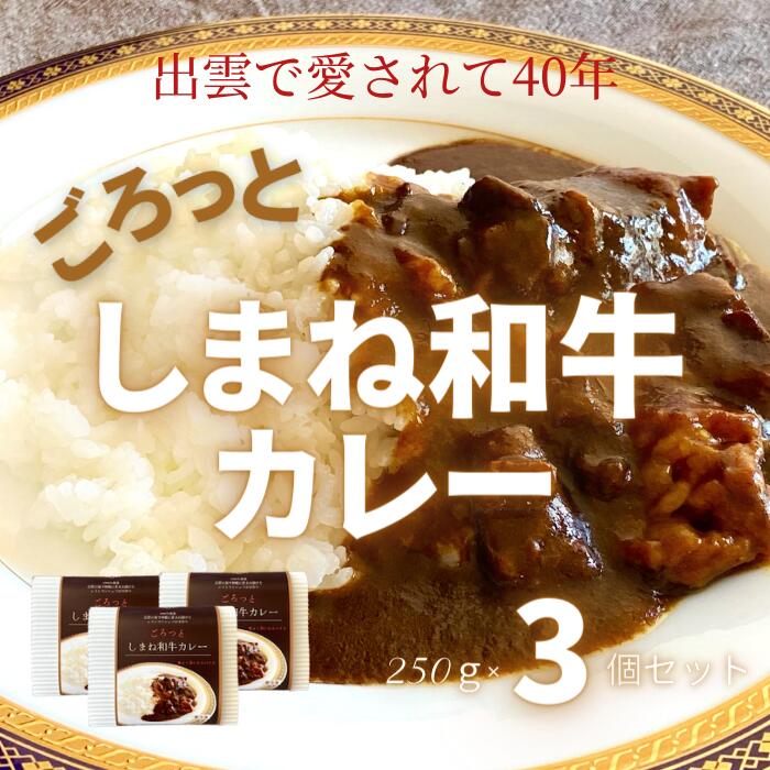 【ふるさと納税】ごろっと しまね和牛カレー 3食セット | 丁寧に作られたカレーソースとしまね和牛の旨みの融合｜島根県出雲市