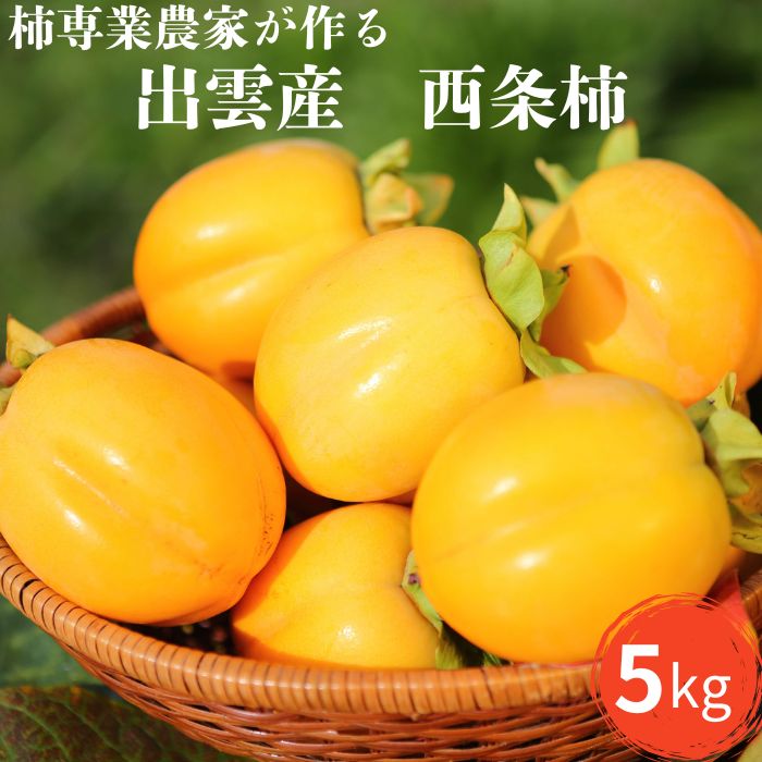 【ふるさと納税】柿専業の農家が作る 出雲産西条柿 5kg 柿 かき 果物 くだもの ギフト 詰め合わせ フルーツ お取り寄せ 先行 予約 期間限定 島根県 出雲市