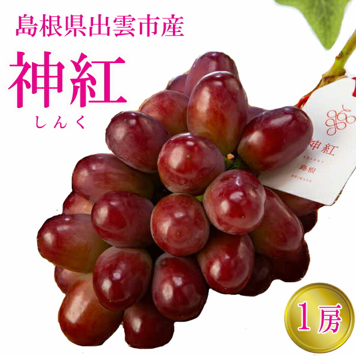 【ふるさと納税】島根県 出雲市産 神紅（島根県オリジナル品種）1房 600ｇ しんく 葡萄 冷蔵 果物 フルーツ お取り寄せ グルメ 期間限定 数量限定 島根県 出雲市