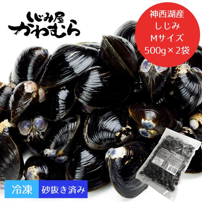 【ふるさと納税】【神西湖産】プリプリ！冷凍砂抜きしじみ　Mｻｲｽﾞ/500g×2袋 小分け 砂抜き済 貝 詰め合わせ お取り寄せ グルメ kai cai 栄養 料理 調理 レシピ 蜆 島根県 出雲市