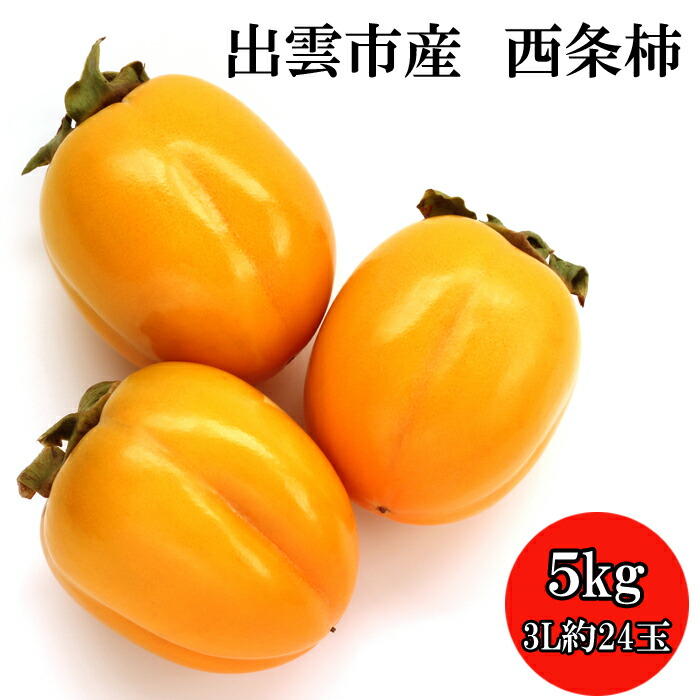 【ふるさと納税】出雲市産西条柿 5kg（3L 約24玉）期間限定 予約  甘い 美味しい