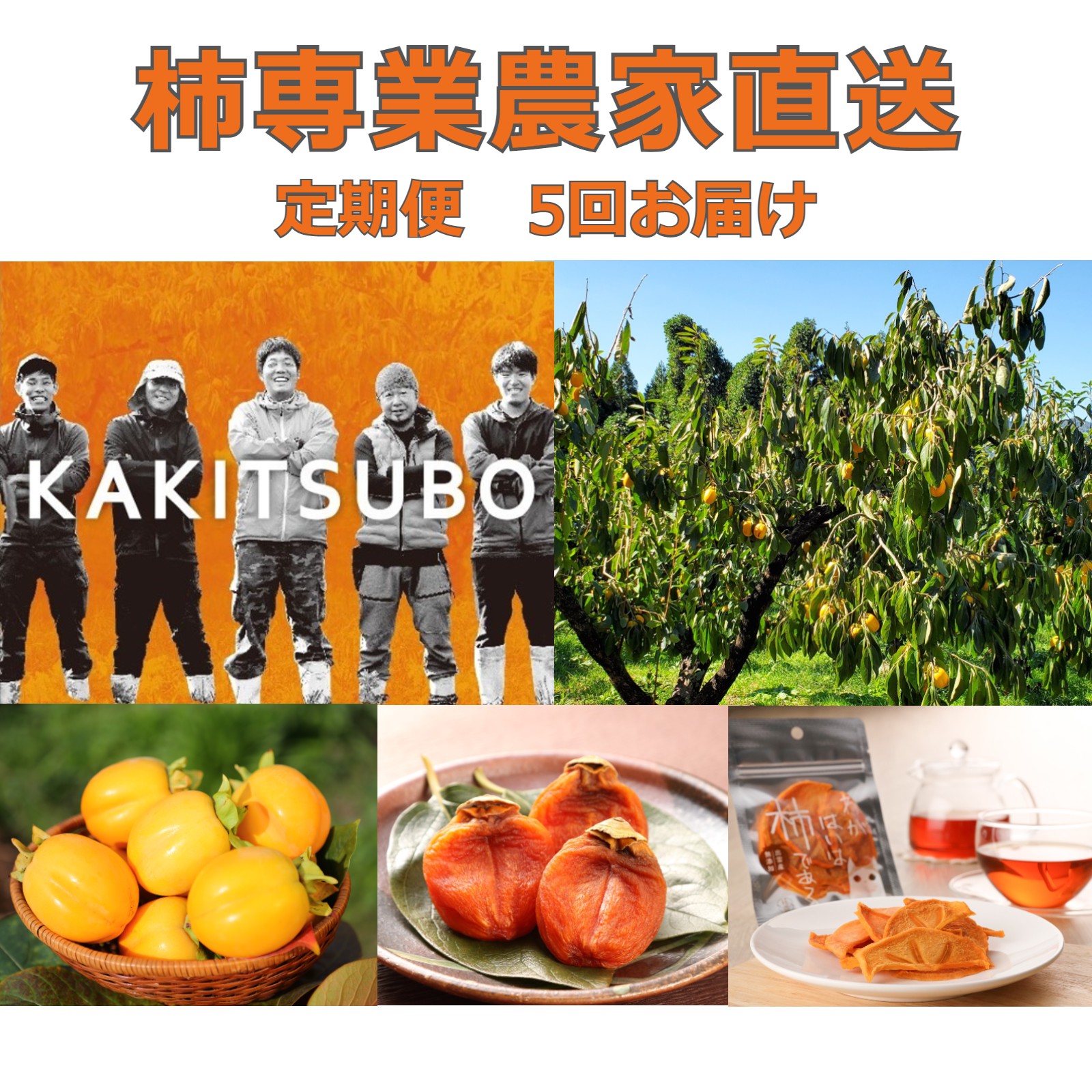 【ふるさと納税】定期便 柿専業の農家が作る 3種の採れたて柿とスイーツセット / 干し柿 ドライフルーツ 伊豆柿 西条柿