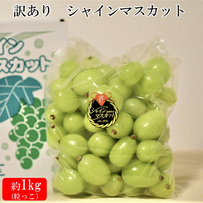 【ふるさと納税】【2025年発送分】訳あり シャインマスカット いずもぶどう 粒 1kg  | 粒っこ ぶどう 葡萄 果物 フルーツ 先行予約 お取り寄せ バラ