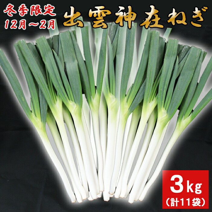 【ふるさと納税】出雲神在（かみあり）ねぎ | 葱 野菜 やさい 冷蔵 人気 おススメ 大容量 贈答 小分け 調理 料理 味噌汁 焼き鳥 お鍋 鍋 なべ お取り寄せ グルメ 島根県 出雲市