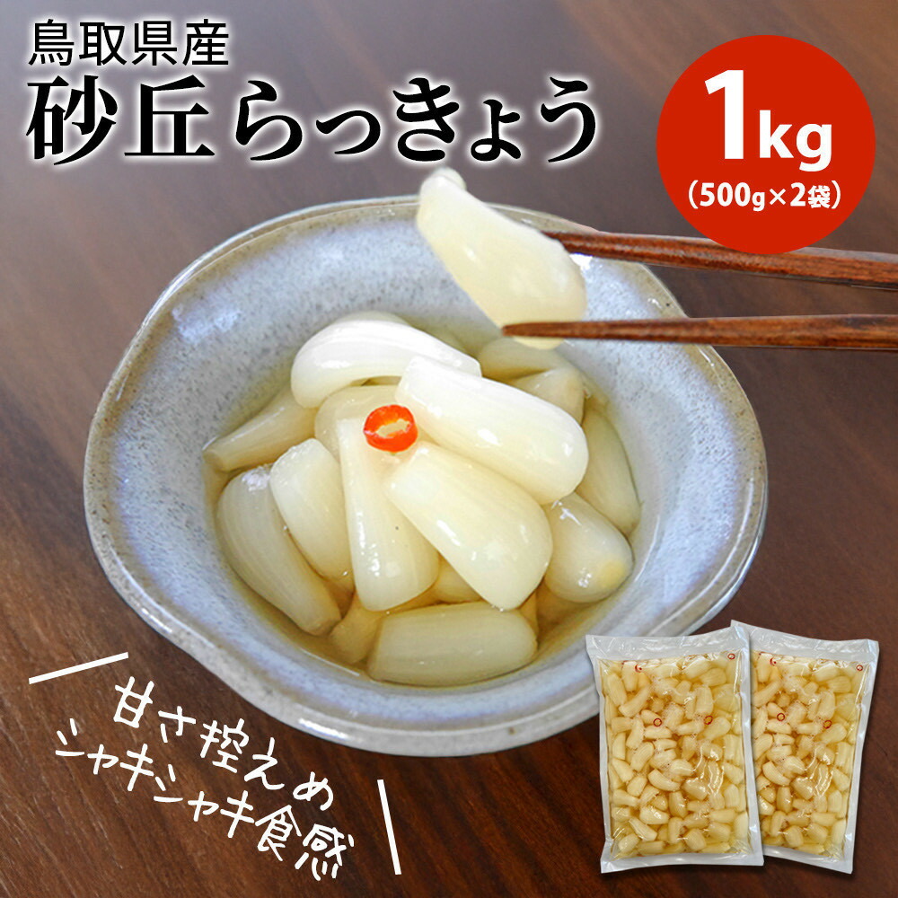 【ふるさと納税】【業務用】鳥取県産砂丘らっきょう　500ｇ×2 | 鳥取県産 砂丘らっきょう 漬物 1kg 業務用 加工品 けんちゃん漬 ふるさと納税 出雲市
