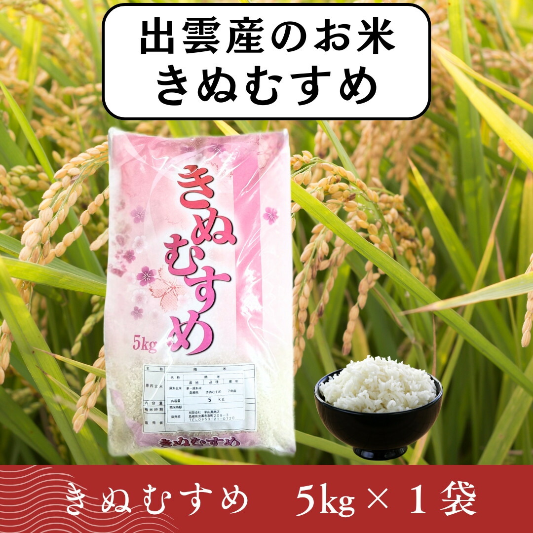 【ふるさと納税】お米 令和7年産 出雲きぬむすめ5kg|島根県出雲市
