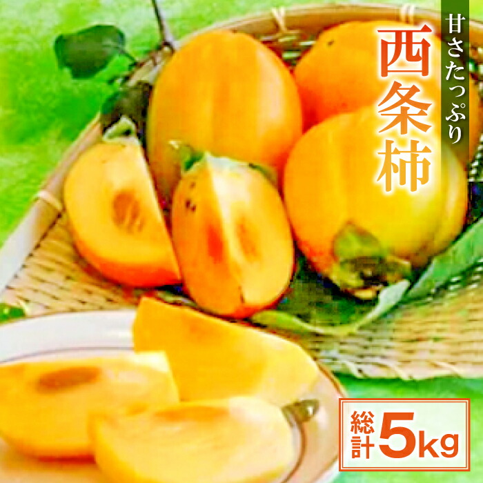 【ふるさと納税】 先行予約 西条柿 5kg 24玉～28玉 3L～2L 果物 フルーツ かき 季節限定 期間限定 早期予約 10月25日頃～11月10頃発送 特産品 お取り寄せ グルメ