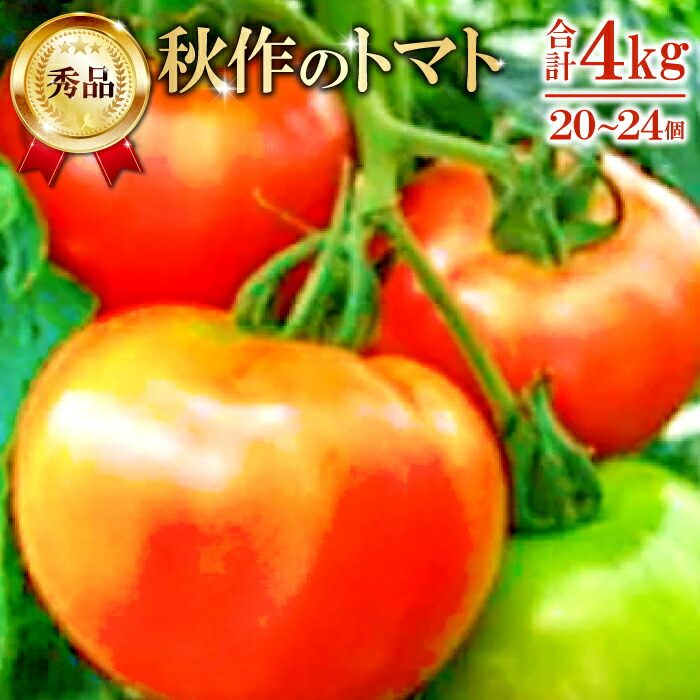 【ふるさと納税】 先行予約 朝採り 真赤な益田SUNトマト 4kg 秀品 20～24玉入×1ケース 野菜 とまと 秋作 トマトジュース お弁当 サラダ 季節限定 期間限定 早期予約 10月1日頃～10月31日頃発送 特産品 お取り寄せ グルメ