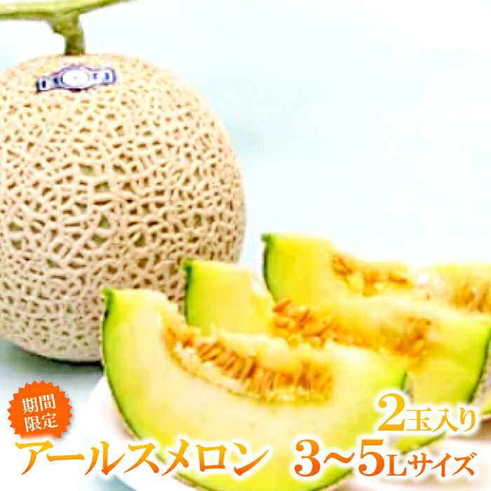 【ふるさと納税】 アールスメロン 2玉入り【秋作】3L～5L 1玉あたり1.9kg以上 青肉 フルーツ 先行予約 果物 季節限定 期間限定 早期予約 直送 高級 ご褒美 お取り寄せ 常温
