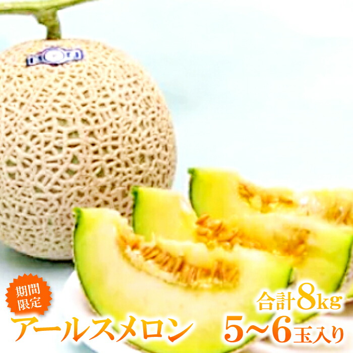 【ふるさと納税】 先行予約 アールスメロン 8kg 5～6玉 果物 フルーツ メロン 秋作 季節限定 期間限定 早期予約 10月17日頃～10月30日頃発送 特産品 お取り寄せ グルメ
