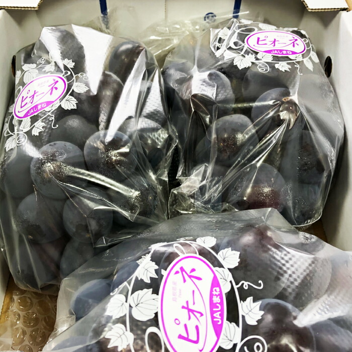 【ふるさと納税】 ピオーネ 種なし 2kg 3房～5房 果物 フルーツ ぶどう ブドウ ピオーネ 新鮮 甘い 先行予約 季節限定 期間限定 冷蔵 特産品 お取り寄せ グルメ
