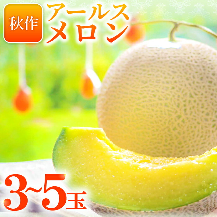 【ふるさと納税】 アールスメロン 3～5玉 計8kg 秋作 糖度14度以上 季節限定 期間限定 メロン フルーツ 果物 くだもの 青肉 高級 ご褒美 贅沢 ギフト 贈答 贈り物 お歳暮