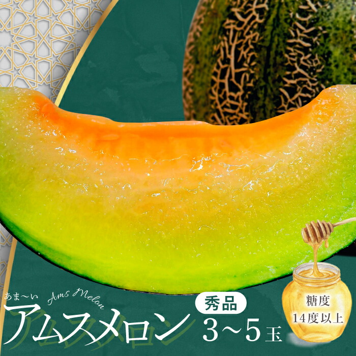 【ふるさと納税】〈先行予約〉 アムスメロン 3玉～5玉 メロン 季節限定 期間限定 数量限定 果物 フルーツ くだもの お土産 プレゼント 贈り物 アムス 食後 デザート ご褒美 贅沢 青肉