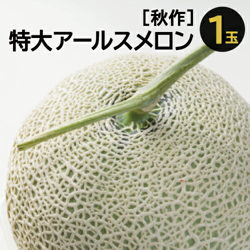先行予約 特大アールスメロン 1玉 国産 島根県産 益田市 果物 フルーツ メロン 秋作 季節限定 期間限定 早期予約 10月〜11月発送 特産品 お取り寄せ グルメ