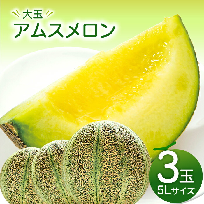 【ふるさと納税】〈先行予約〉 大玉 アムスメロン 5L 3玉 3個 メロン 早期予約 季節限定 期間限定 果物 フルーツ くだもの お土産 プレゼント 贈り物 ご褒美 贅沢