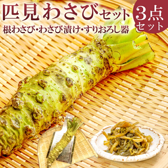 鮫皮おろし板　大　フカサク　本わさびおろし 鮫皮おろし板（特大） | ふかひれのフカサク