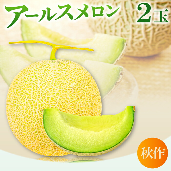 【ふるさと納税】 先行予約 アールスメロン 2玉 果物 フルーツ メロン 秋作 季節限定 期間限定 早期予約 10月～11月発送 特産品 お取り寄せ グルメ