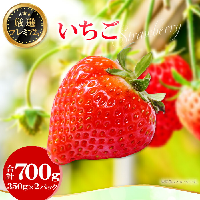 【ふるさと納税】 先行予約 いちご 350g×2パック 果物 フルーツ 苺 厳選 プレミアム 甘い やみつき 期間限定 季節限定 早期予約 2025年1月～2月末発送 冷蔵 特産品 お取り寄せ グルメ