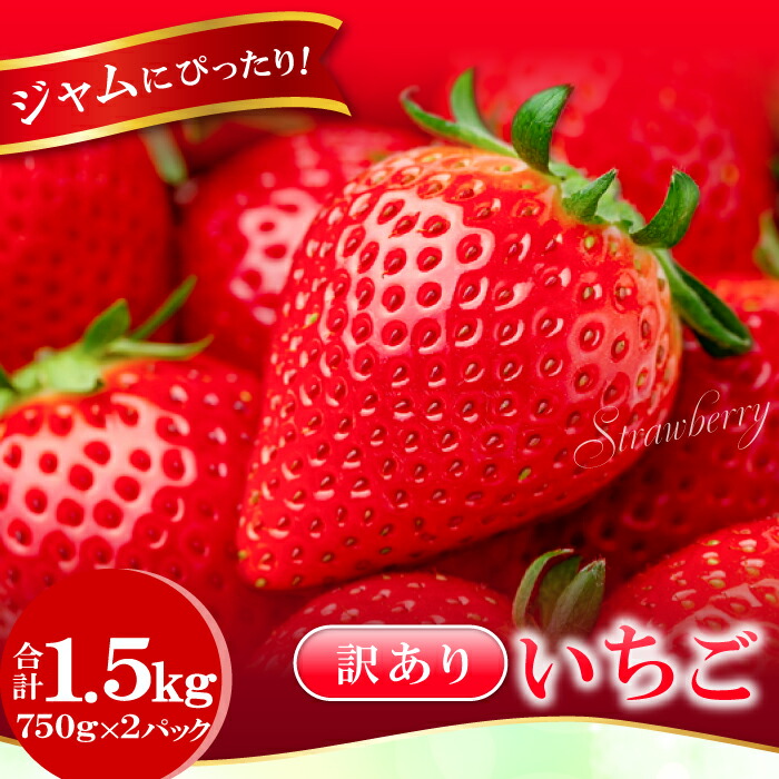 【ふるさと納税】 訳あり いちご（750g×2パック） ジャムにぴったり 果物 フルーツ 苺 いちご イチゴ 不揃い わけあり 1.5kg 冷蔵 期間限定 季節限定
