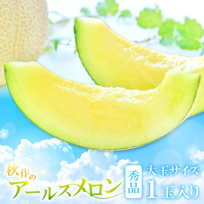 【ふるさと納税】 大玉アールスメロン 秀品 大玉1玉 先行予約 果物 フルーツ メロン 秋作 季節限定 期間限定 早期予約 10月上旬～10月下旬発送 特産品 お取り寄せ 贈答品 ギフト グルメ