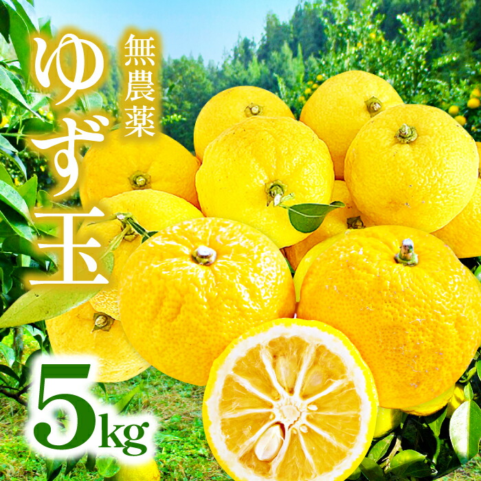 【ふるさと納税】 【有機JAS認定】 無農薬ゆず玉 5kg 1kgあたり7～15個 柚子 先行予約 季節限定 期間限定 不揃い 美都