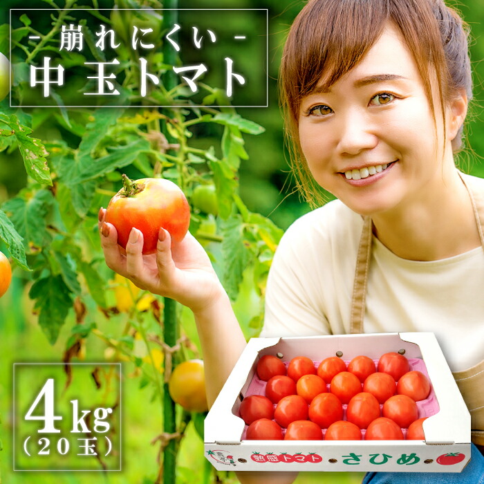 【ふるさと納税】 熟感トマト 4kg 20玉 野菜 桃太郎トマト 桃太郎ヨーク 中玉 さひめ パスタ 煮込み 炒め物 9月～3月発送 特産品 お取り寄せ グルメ