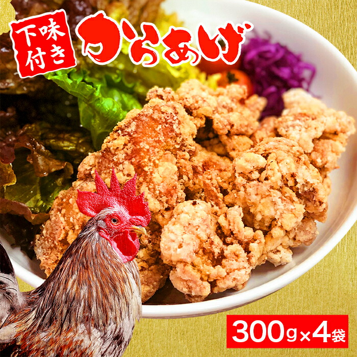 からあげ 300g 4個 島根県 益田市 肉 鶏肉 若鶏もも肉 揚げ物 唐揚げ 下味付き にんにく醤油 おかず 焼肉 バーベキュー ホームパーティ お弁当 運動会 お土産 冷凍 特産品 お取り寄せ グルメ 高い素材