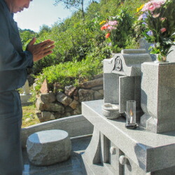 ふるさと納税 C 395 お墓参り お洗浄代理業者 企画 A 益田大都市 旧益田市 Cannes Encheres Com