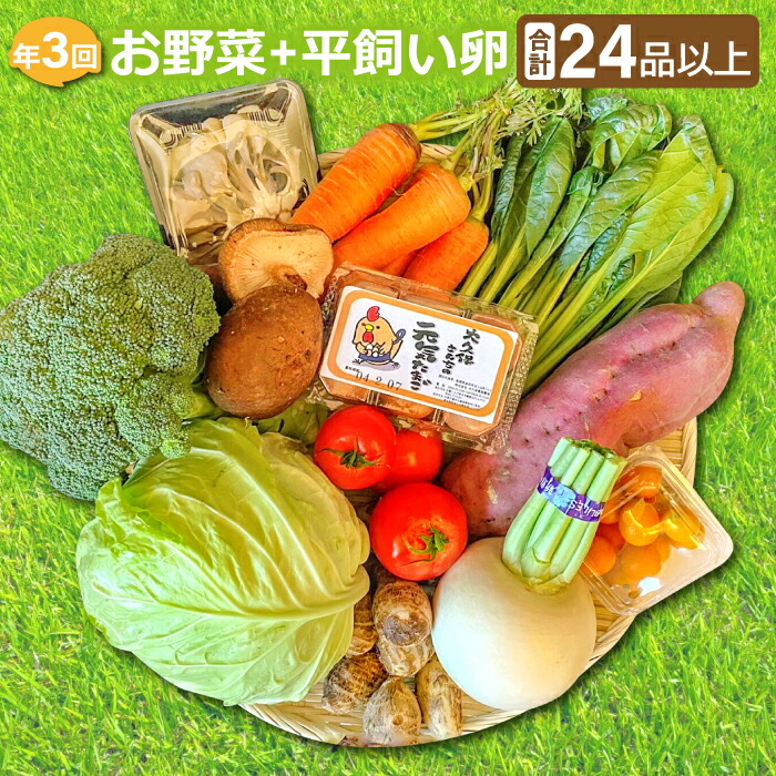 【ふるさと納税】 【定期便】季節のお野菜 8～10品 平飼い卵 6個 詰め合わせ セット 野菜 減農薬 減化学肥料 やさい 旬の野菜 野菜セット 季節の野菜 定期便 3回 3ヶ月 コース 卵 たまご 破損保証 2個 特産品 お取り寄せ グルメ 野菜定期 定期 全3回