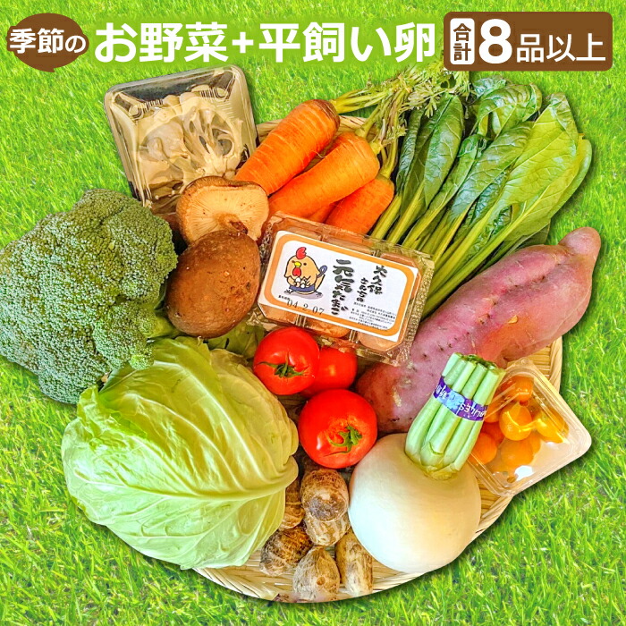 【ふるさと納税】 季節のお野菜 8～10品 平飼い卵 6個 詰め合わせ セット 野菜 減農薬 減化学肥料 キャベツ 小松菜 高菜 里芋 大根 人参 エリンギ 椎茸 トマト きゅうり ナス たまご 破損保証 2個 特産品 お取り寄せ グルメ