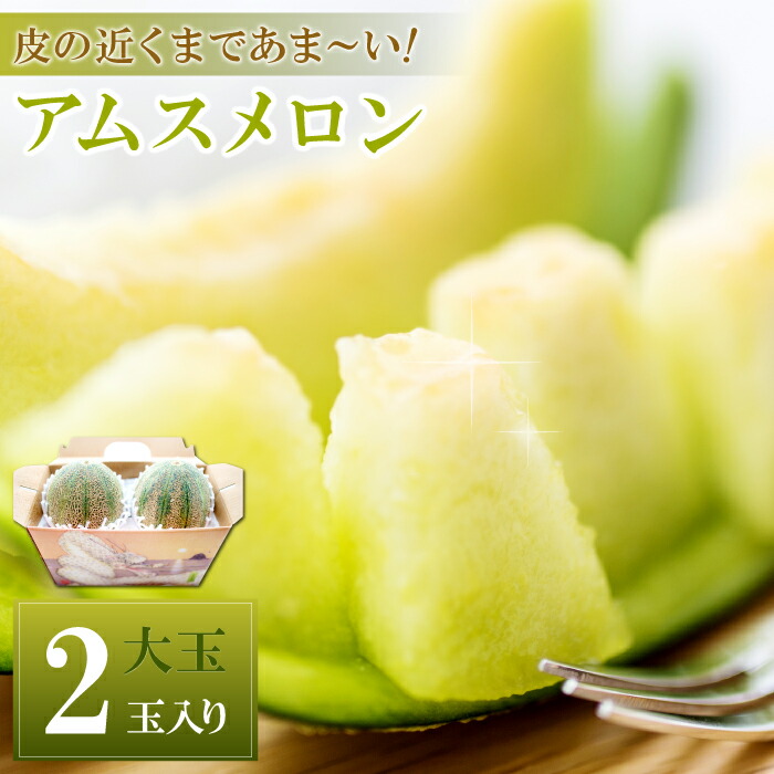 【ふるさと納税】 期間限定 アムスメロン 大玉 ２玉入り 先行予約 数量限定 季節限定 早期予約 予約 メロン 果物 フルーツ 糖度14度以上 6月発送