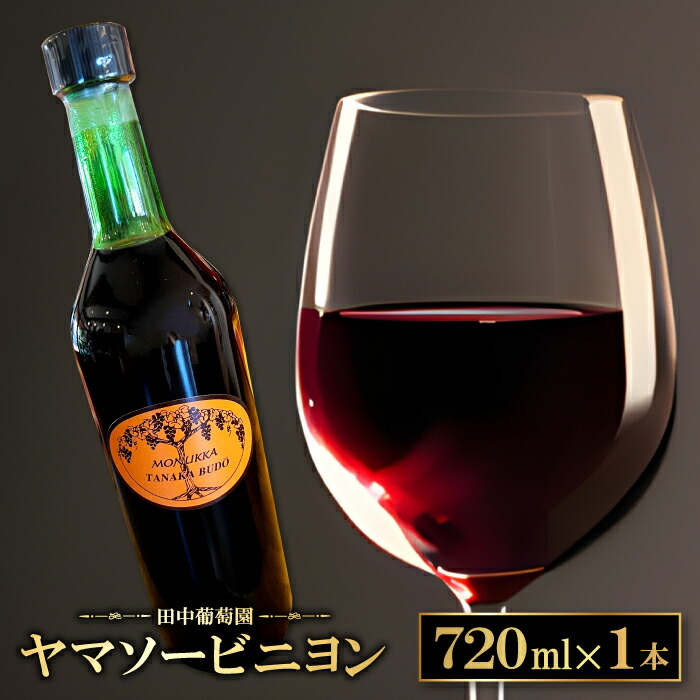 【ふるさと納税】ドメーヌワイン ヤマソービニヨン 赤ワイン 720ml 9.0% 1本 酒 ワイン 赤 果物 フルーツ 山ぶどう ぶどう ブドウ 自園自醸 ディナー ギフト 贈答|島根県益田市