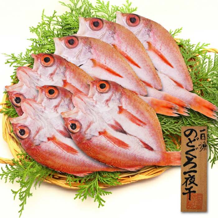 市場 ふるさと納税 魚介類 小ぶり 高級魚 干物 天日塩 のどぐろ 6枚 人気 魚 大田市 一夜干し 550g 島根県産 国産