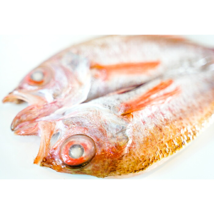 【ふるさと納税】のどぐろ一夜干 150g×2枚【 のどぐろ干物 無添加 天日塩 魚介類 魚 高級魚 ノドグロ アカムツ あかむつ 干物 新鮮 冷凍 】|島根県大田市