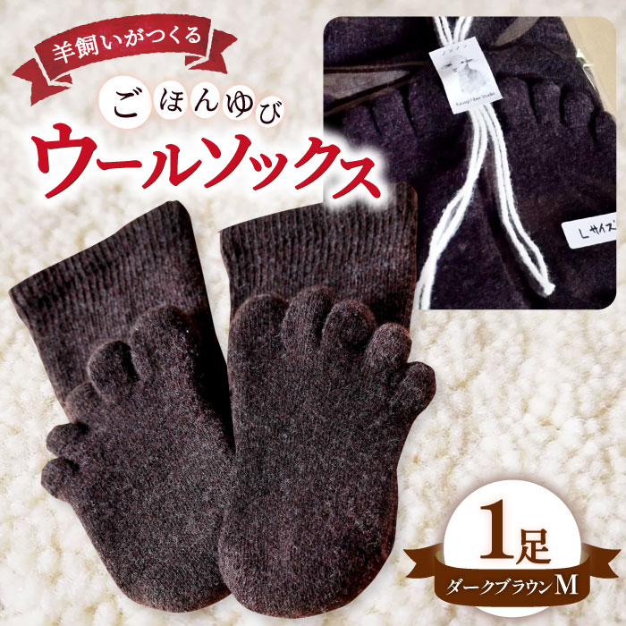 【ふるさと納税】 ひつじ飼いが作る 5本指 ウールソックス Mサイズ 23cm～25cm 靴下 くつした ソックス 厚手 総パイル 紡毛糸 ダークブラウン ブラウン 羊 レディース メンズ 男女兼用 温活 冷え性 茶色 かわいい 島根県 大田市