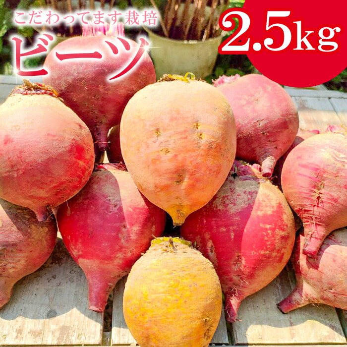 【ふるさと納税】 季節限定品 ビーツ2.5kg 野菜 露地栽培 季節限定 島根県 大田市 健康野菜 やさい 火焔菜 カエンサイ ボルシチ ポタージュ サラダ ピクルス スイーツ スムージー