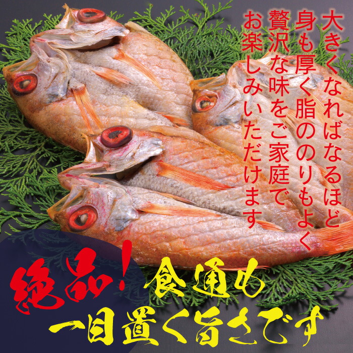 ブランド品専門の のどぐろ 干物 60g〜80g×3尾 姿煮 101g〜140g×2尾 合計5尾 一夜干し 国産 島根県産 大田市 人気 魚介類 魚  高級魚 ノドグロ アカムツ 白身魚 トロ 贅沢 素焼き 炊き込みご飯 煮付け 詰め合わせ 冷凍 真空 産地直送 特産品 お取り寄せ グルメ B224  qdtek.vn