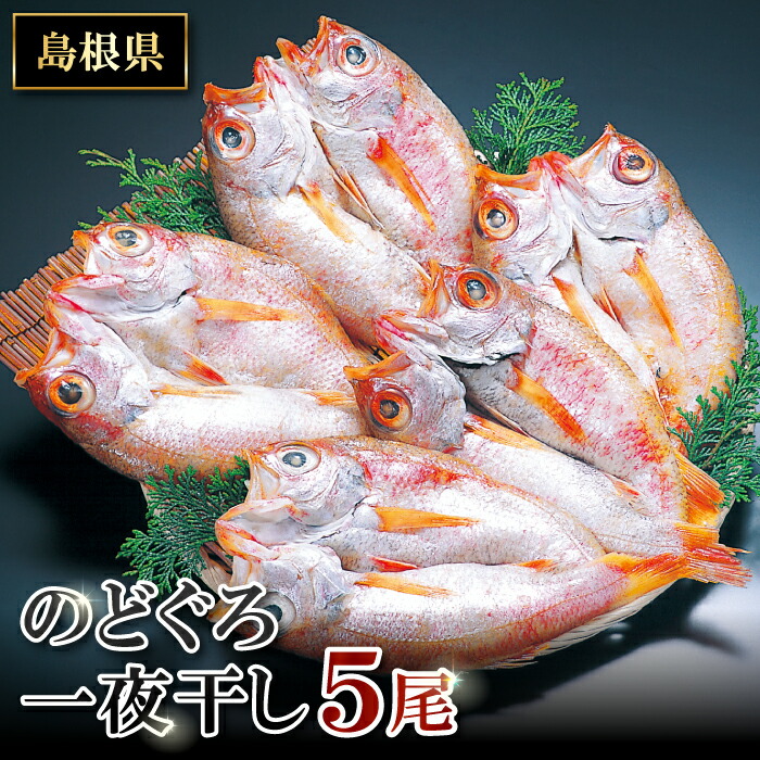 【ふるさと納税】 干物 のどぐろ 5尾 1尾あたり 約101g～130g のどぐろ一夜干 人気 魚介類 魚 高級魚 ノドグロ アカムツ 白身魚 トロ 贅沢 冷凍 真空 特産品 お取り寄せ 自宅用 家庭用 贈答用 贈答 ギフト プレゼント 父の日 母の日 グルメ