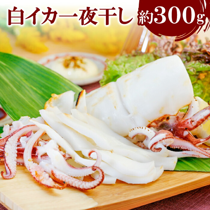 【ふるさと納税】 白いか 一夜干し イカ 5枚  1枚 60～80g 干物 剣先いか 肉厚 おつまみ 酒の肴 ケンサキイカ 烏賊 魚介 魚貝 冷凍 父の日 母の日