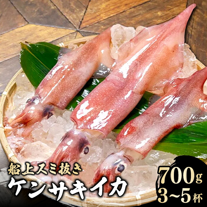 【ふるさと納税】 船上スミ抜き ケンサキイカ 700g以上 3～5杯 いか 剣先いか 烏賊 イカ ケンサキイカ 贅沢 刺身 おかず おつまみ お酒 冷凍 地物 天然物 新鮮 真空パック 旨い 海産物 魚介類 獲れたて 島根県 大田市