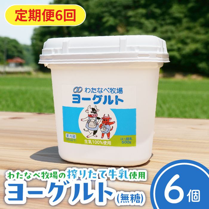 【ふるさと納税】【定期便6回】ヨーグルト500g(プレーン)6個セット【無糖 ネッカ牛乳 ノンホモ製法 セット 搾りたて 栄養 こだわり おやつ デザート 朝食 スイーツ 自然派 化学合成物質不使用 安心 乳製品 乳酸菌 腸活 健康 定期便 島根県 安来市】|島根県安来市