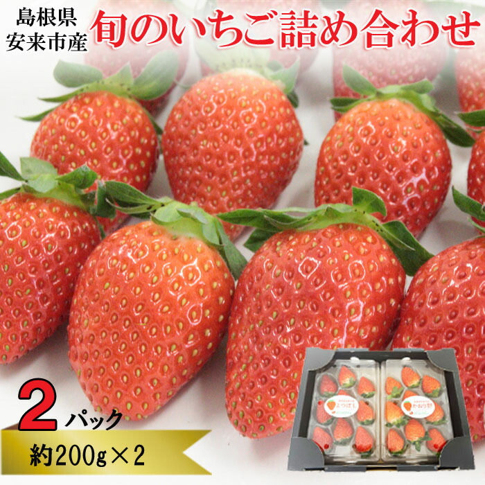 【ふるさと納税】早期予約 農場長厳選の美味しいいちご 400g (200g×2) パック 苺 詰め合わせ 島根県 安来市産 かおり野 紅ほっぺ よつぼし スターナイト やよいひめ セット