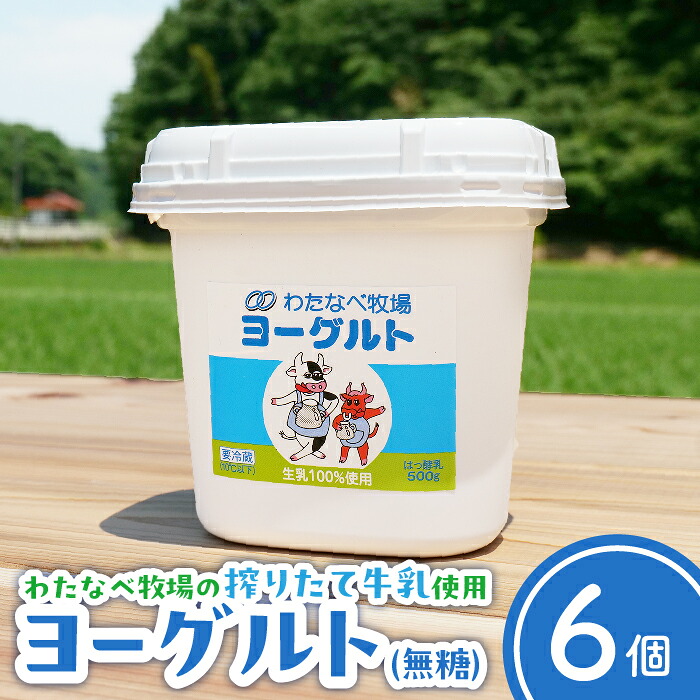 【ふるさと納税】ヨーグルト500ｇ（プレーン）6個セット【無糖 ネッカ牛乳 ノンホモ製法 セット 搾りたて 栄養 こだわり おやつ デザート 朝食 スイーツ 自然派 化学合成物質不使用 安心 乳製品 乳酸菌 腸活 健康 島根県 安来市】