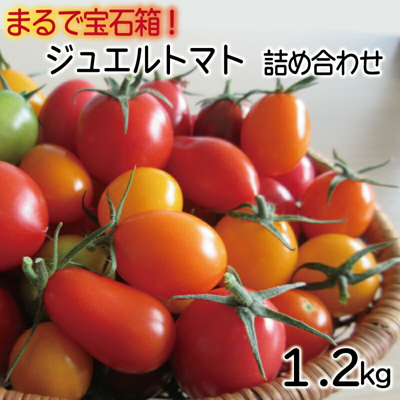 【ふるさと納税】【予約受付】ジュエル トマト 高糖度 フルーツトマト トマト 甘い 完熟 栄養